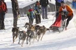 Lenk 2012 SM